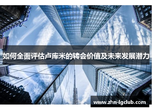 如何全面评估卢库米的转会价值及未来发展潜力
