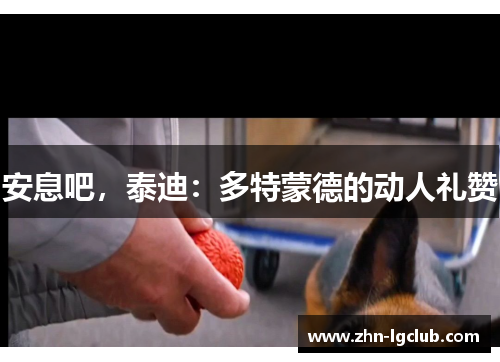安息吧，泰迪：多特蒙德的动人礼赞