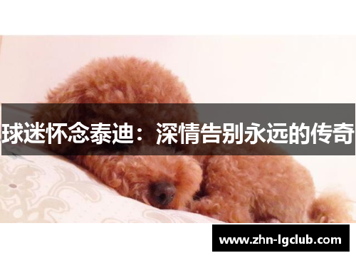 球迷怀念泰迪：深情告别永远的传奇