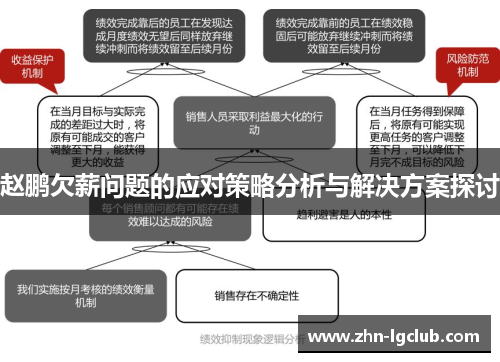 赵鹏欠薪问题的应对策略分析与解决方案探讨