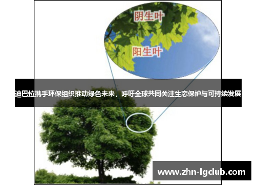 迪巴拉携手环保组织推动绿色未来，呼吁全球共同关注生态保护与可持续发展