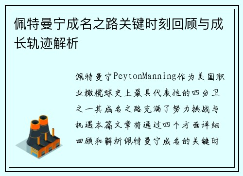 佩特曼宁成名之路关键时刻回顾与成长轨迹解析
