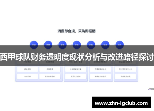 西甲球队财务透明度现状分析与改进路径探讨