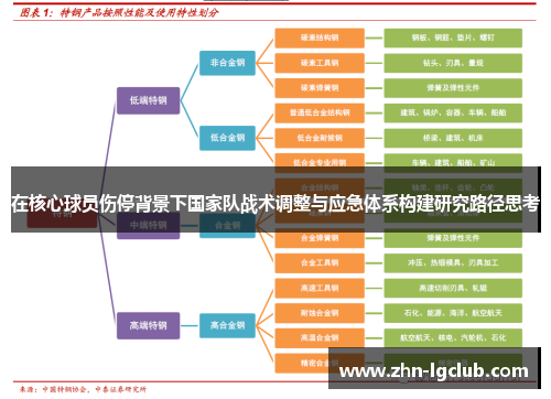 在核心球员伤停背景下国家队战术调整与应急体系构建研究路径思考