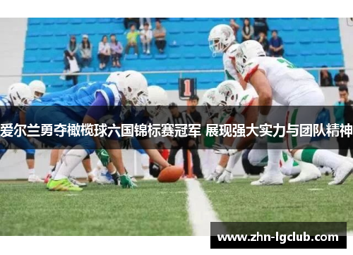 爱尔兰勇夺橄榄球六国锦标赛冠军 展现强大实力与团队精神